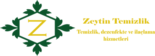 Zeytin Temizlik